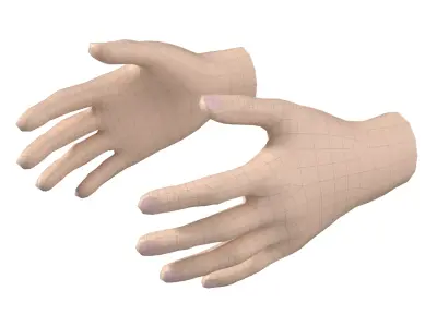 Female Hand Base Mesh 05 3D model