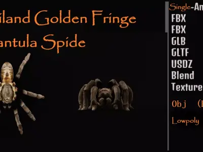 Tarantula Spider Low-poly 3D model