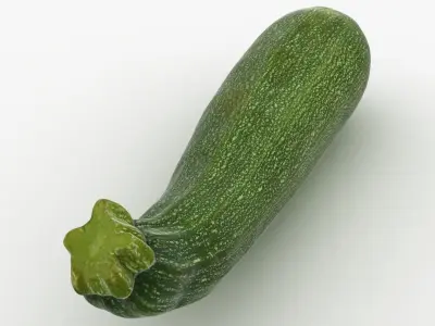Zucchini Set 3D model