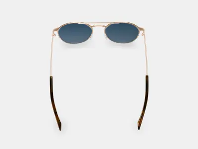 Fisher Sunglasses in Polished Gold 3D model