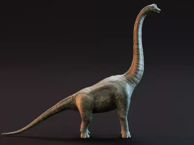 Brachiosaurus - Realistic Dinosaur 3D model