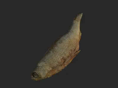 Scanned photorealistic dried fish Low-poly 3D model