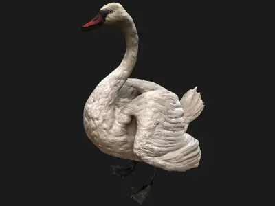 Swan and Ducks Birds Pack Low-poly 3D model