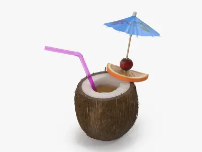 Tropical Drink 3D model
