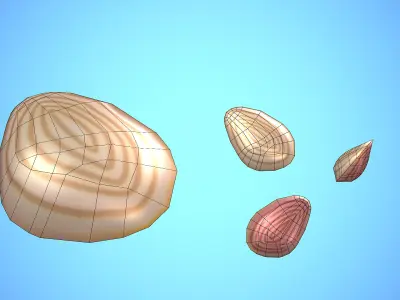 SHELL 02 CARTOON STYLIZED Low-poly 3D model