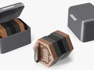 Concertina Accordion in Case 3D model