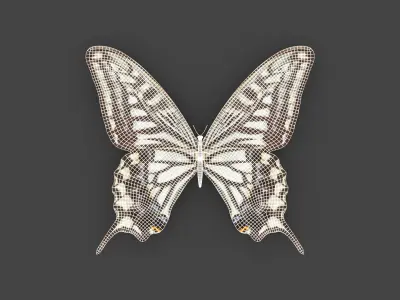 BFLY-007 Butterfly 3D model