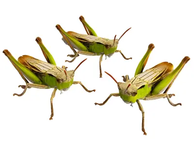 Grasshopper 3D model