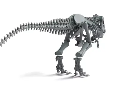 Tyrannosaurus Rex Skeleton 3D Model 3D model