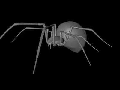 Black widow spider 3d model Free 3D model