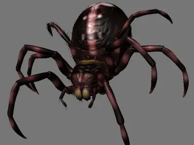 3D Modelnature animal creepy tarantula idle horror arachnid 3D model