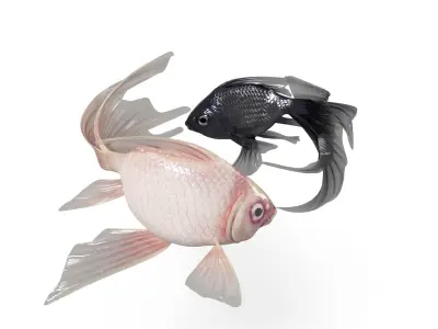 Yin Yang Fish Low-poly 3D model