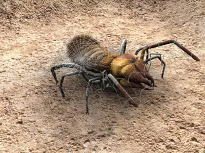 spider low poly textured rigged animated Low-poly 3D model