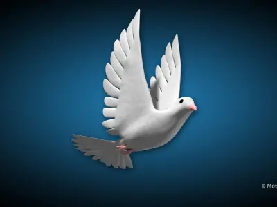 White Dove Bird 3D model
