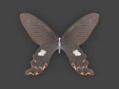 BFLY-008 Butterfly 3D model