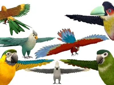 Pack of 7 Birds Rigged 3D Model Free low-poly 3D model