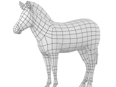 Zebra Animal Base Mesh 3D model