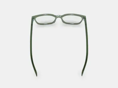Weathers Eyeglasses in Rosemary Crystal 3D model