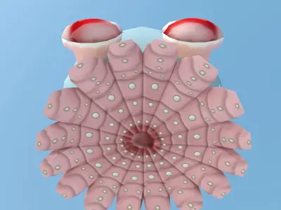 Mollusk Low Poly Character MAX 2011 Low-poly 3D model