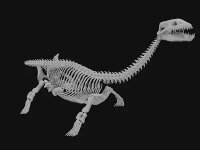Plesiosaur skeleton 3D model