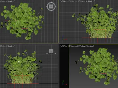 Plant Low-poly 3D model