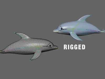 Low Poly - Cartoon Dolphin Rigged Low-poly 3D model