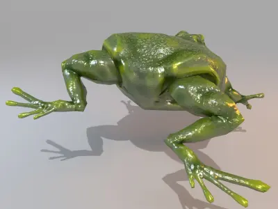 Anuran frog Low-poly 3D model