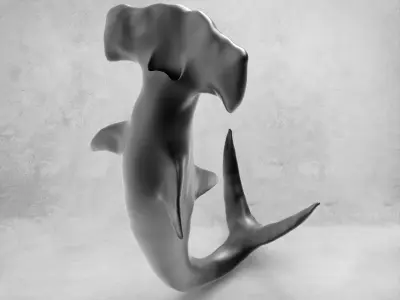 3D Hammer Shark 3D model