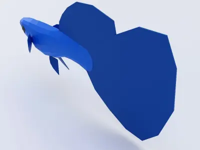  Guppy fish 3d model  Low-poly 3D model
