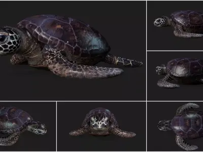 Pack-06 UnderWater 3D model