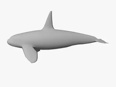 Low Poly Killer Whale Low-poly 3D model