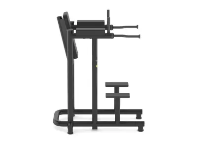 Technogym Bench Leg Raise Dip 3D model