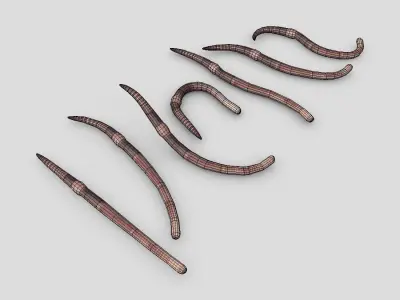 Earthworm set of wooden tusks Low-poly 3D model