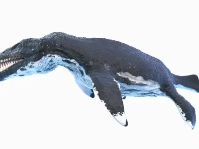 Liopleurodon Animated 3D model