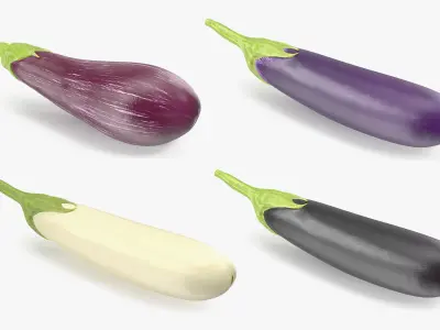Eggplants Collection 3D model