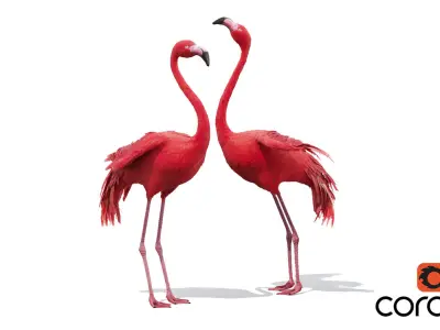 Flamingo two flamingos 3D model