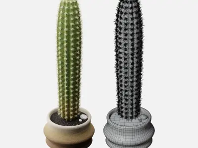 Realistic Cactus with pot ground and little stones included Free 3D model