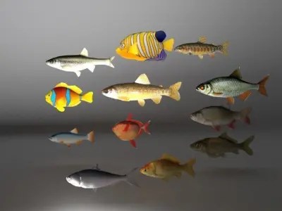 Essential Fish Model Collection Low-poly 3D model
