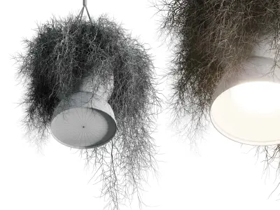 birds nest with pendant lights Low-poly 3D model