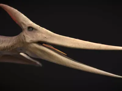 Pteranodon The Winged Ruler of the Cretaceous Skies  Low-poly 3D model