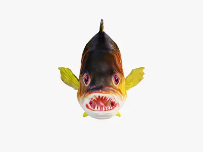 Piranha Free 3D model