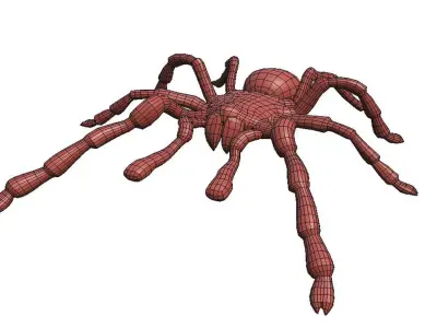 Tarantula low poly spider 3D model