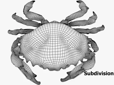 Crab PBR Low-poly 3D model