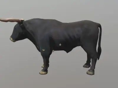 Bull 3D Model Low-poly 3D model
