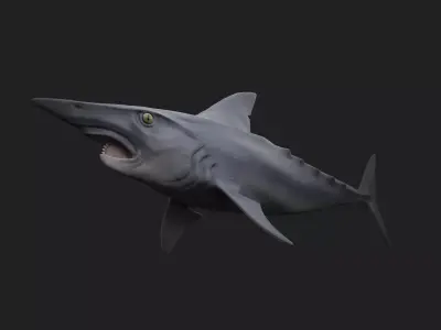 Helicoprion Low-poly 3D model
