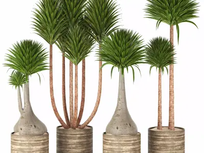 Indoor Plants in Ferm Living Bau Pot Large - Set020 3D model