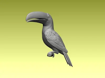 tucan toucan bird 3D model