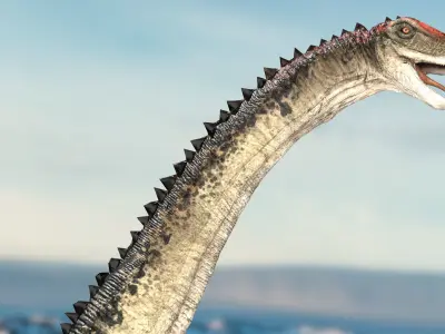 brontosaurus 3D Rigged model Low-poly 3D model