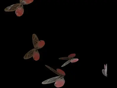 Butterflies Animated  3D model