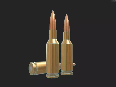 22 PPC Ammo Low-poly 3D model